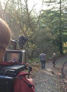 Dog friendly walks in Brechfa Forest