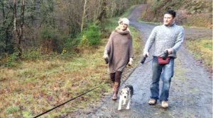 The awesome 18,000 acre Brechfa Forest is "sheep free"