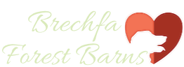 Brechfa Forest Barns
